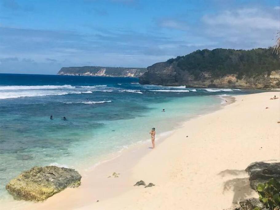 Villa Sous Le Manguier-Anse Bertrand 5Min Plage Εξωτερικό φωτογραφία